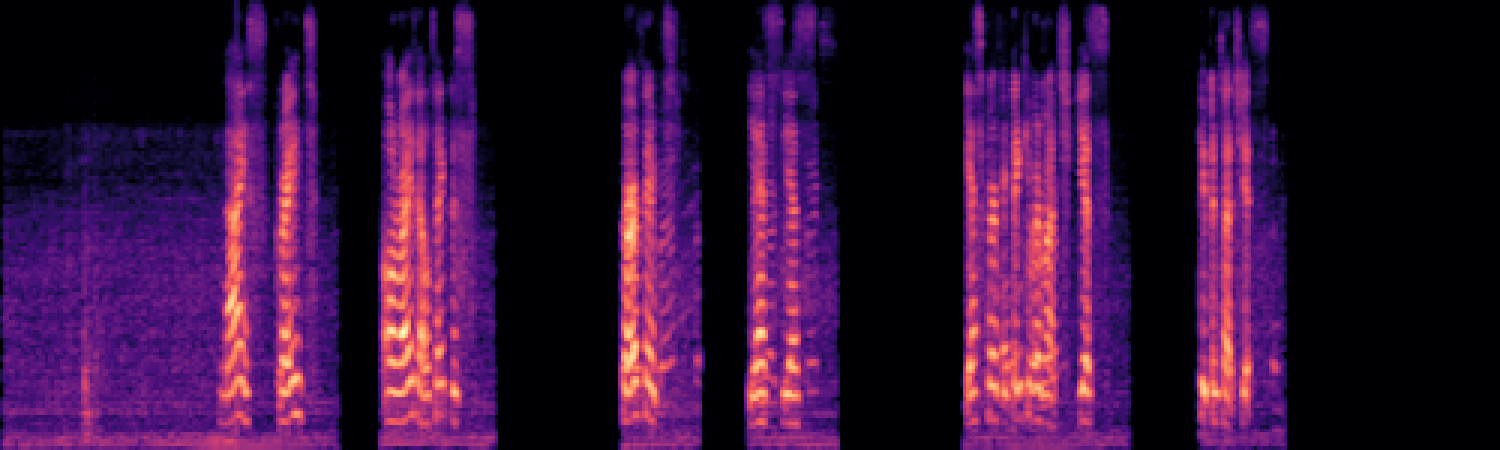 spectrogram